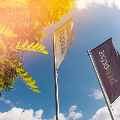 Fahnen des Fitnessstudios proactive Roth
